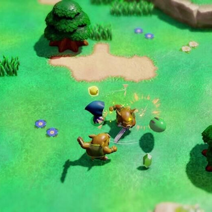 The Legend Of Zelda Echoes Of Wisdom SWITCH